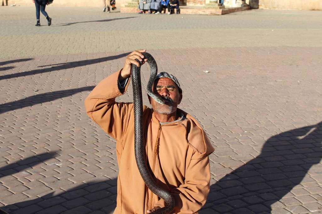 Incantatore di serpenti a Meknes in Marocco - blog di viaggi