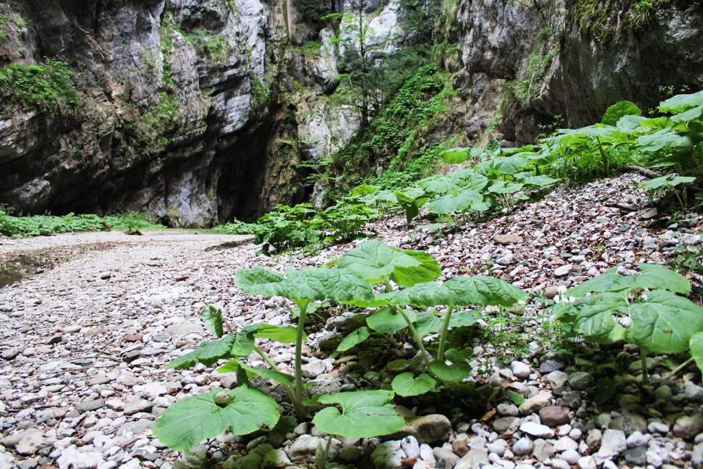 All'interno dell'affondatore di Vallivona sul Monte Cervati nel Cilento - blog di viaggi