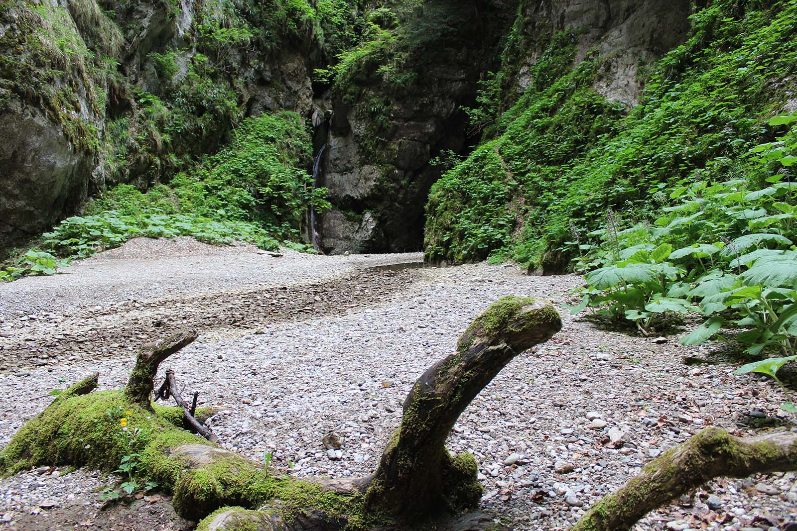 Al momento stai visualizzando Cilento: trekking all’Inghiottitoio di Vallivona