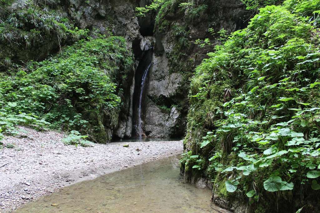 L'ambiente naturalistico dell'Inghiottitoio nel Cilento - blog di viaggi