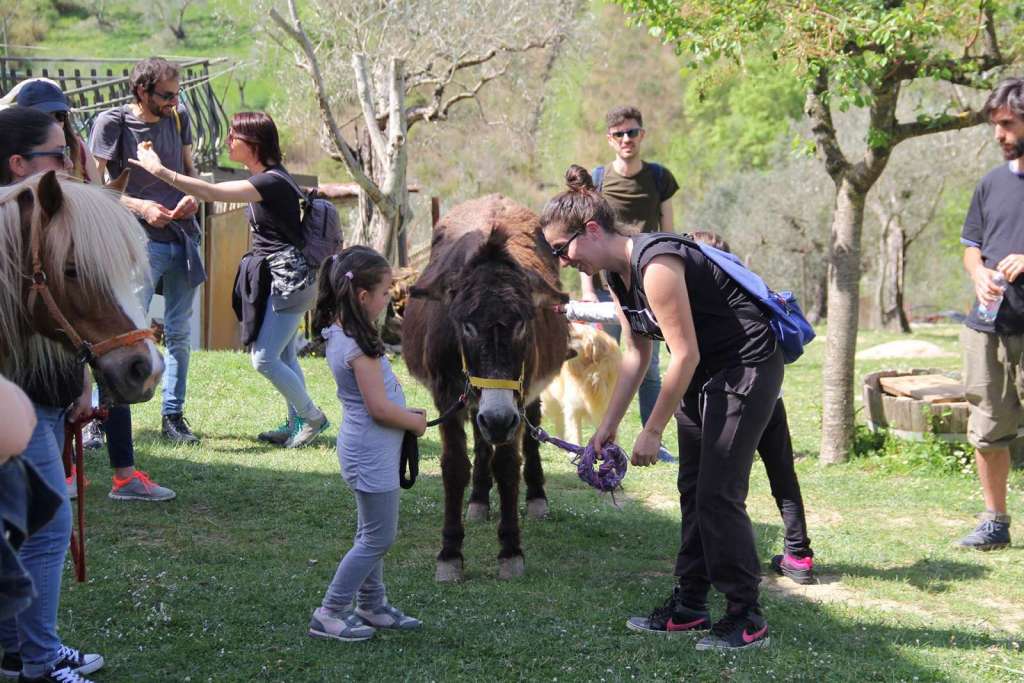 Serena Sassatelli piccola bottega Fornelli - Blog di viaggi