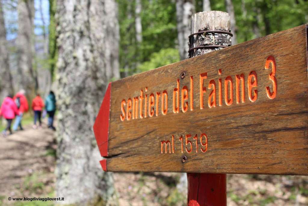 Sentiero del Faione a Montedimezzo - Blog di viaggi
