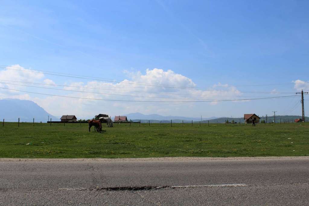 La natura della Transilvania in Romania - Blog di viaggi