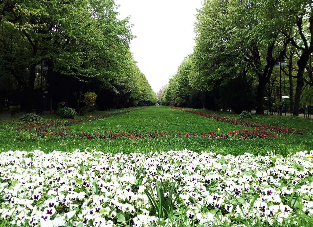 Camminare nel Parco Cișmigiu a Bucarest - Blog di viaggi