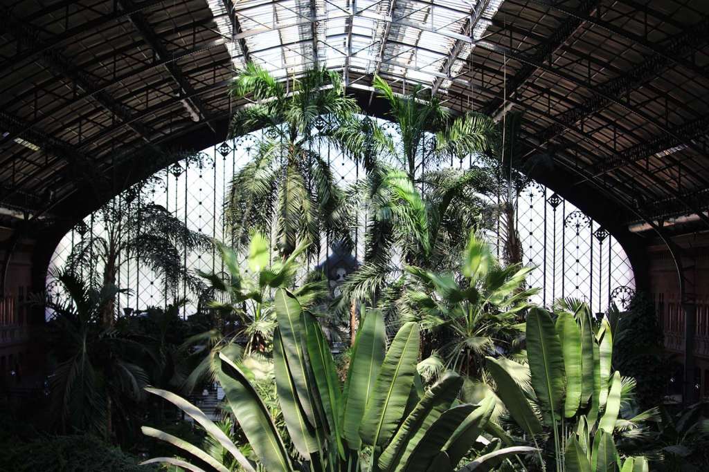Il giardino tropicale all'interno della stazione Atocha a Madrid - Blog di viaggi