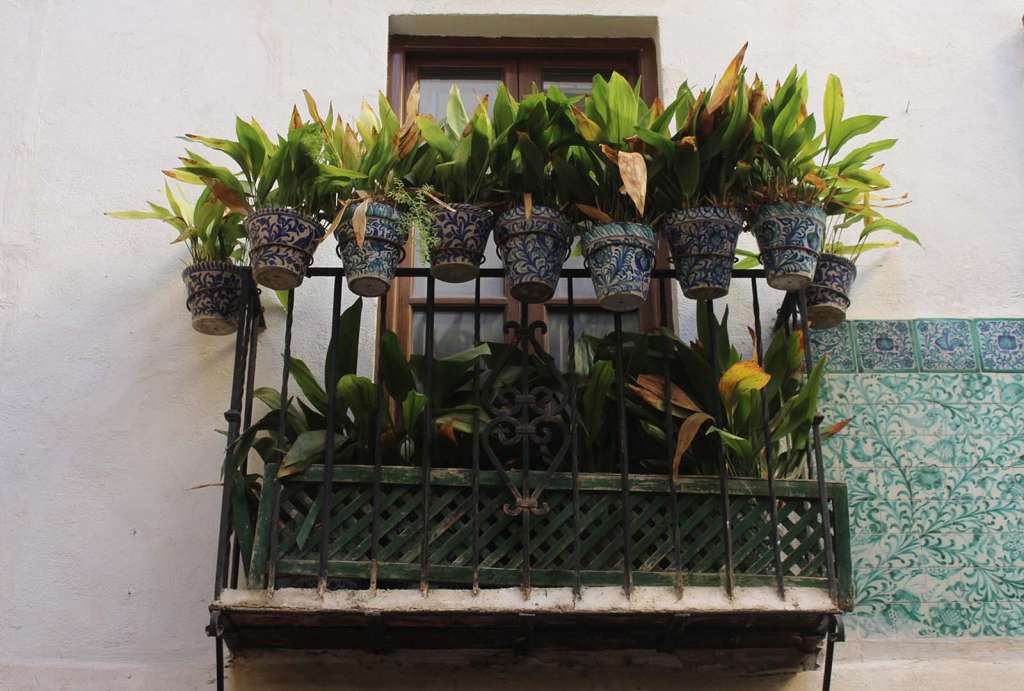I balconi in Andalusia addobbati con piante e fiori - blog di viaggi