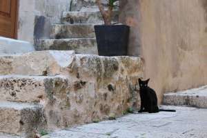 Scopri di più sull'articolo Croazia, consigli su cosa vedere a Dubrovnik