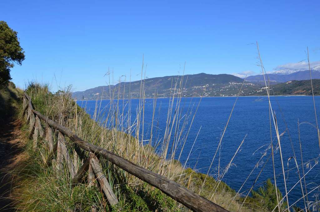 Il percorso del sentiero della Primula a Palinuro nel Cilento - Blog di viaggi