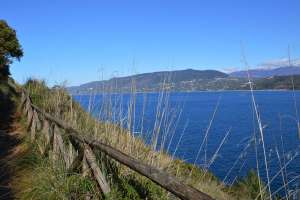 Scopri di più sull'articolo Trekking a Palinuro: il Sentiero della Primula