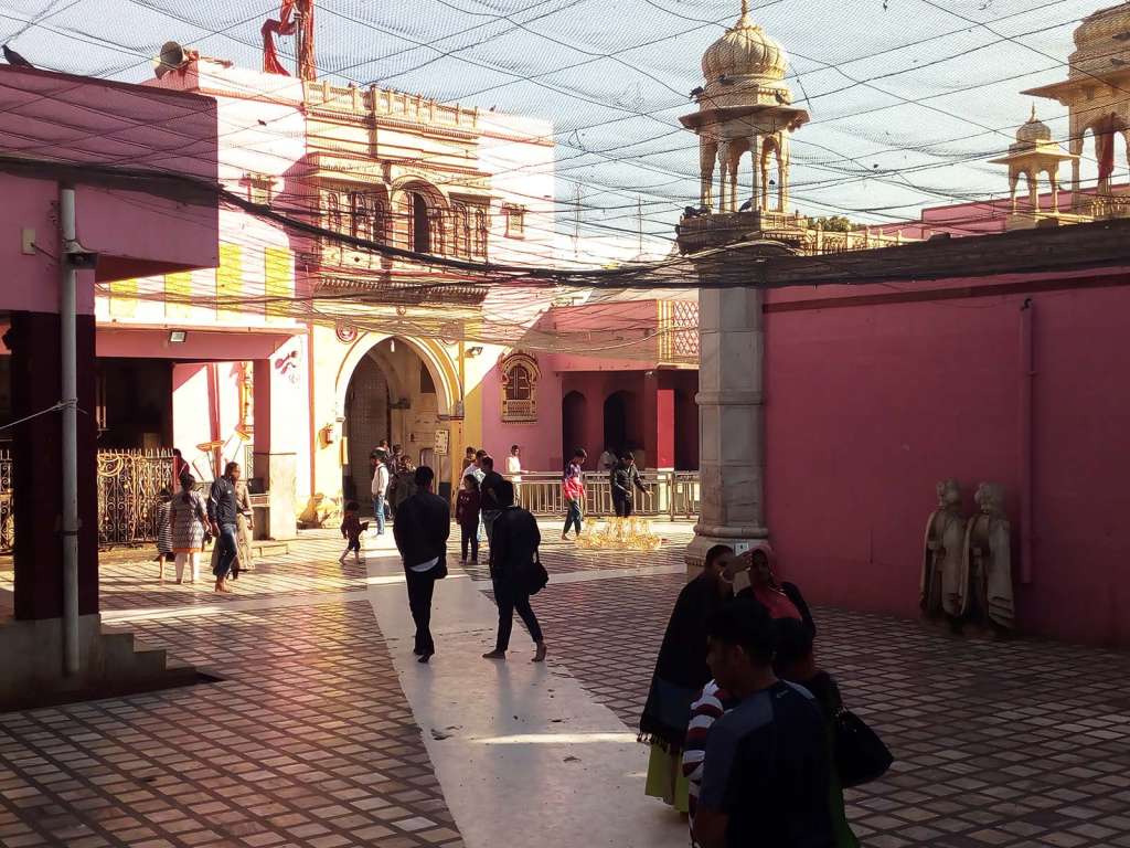 Nel tempio dei topi vicino Bikaner nel Rajasthan - blog di viaggi