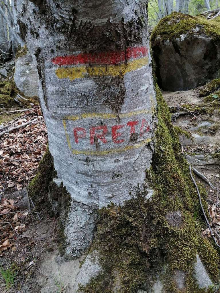 Sentiero da Preta di Amatrice alla cascata di Ortanza sui monti della Laga - blog di viaggi