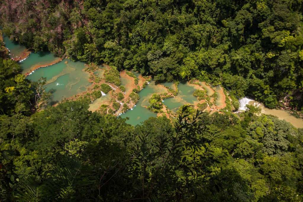 Aiutare La vegetazione nelle foreste del Guatemala - blog di viaggi