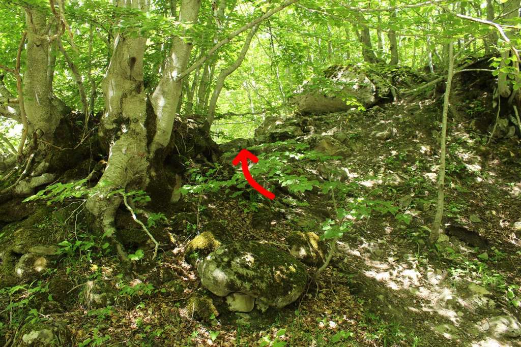 Il sentiero per raggiungere la cascata delle Barche - blog di viaggi