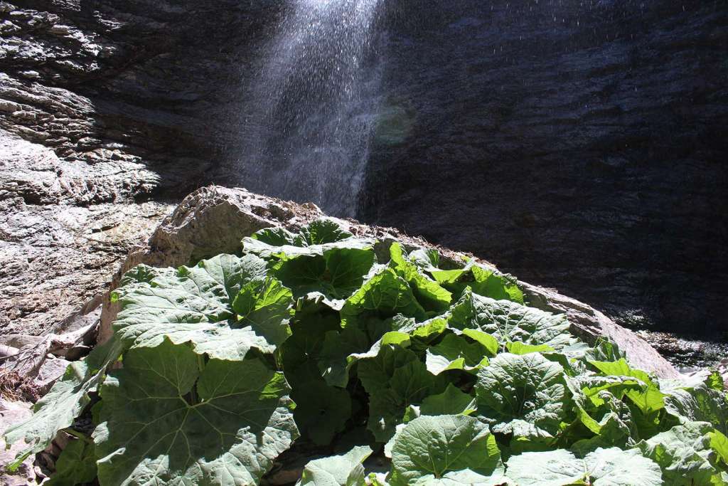 Uno scorcio della cascata di Trecina Bassa - blog di viaggi