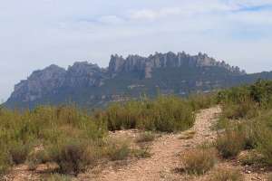 Scopri di più sull'articolo Trekking sul Montserrat da Barcellona