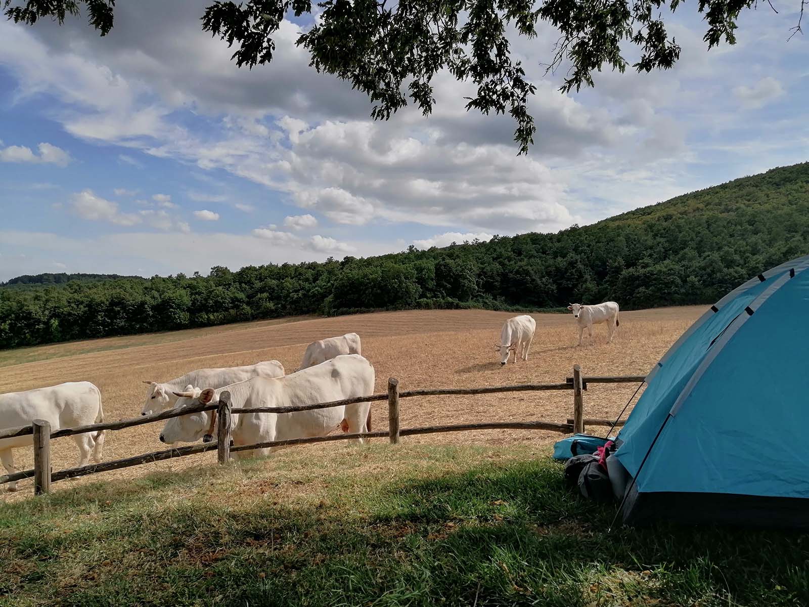 Scopri di più sull'articolo Il Cammino dei Borghi Silenti in tenda