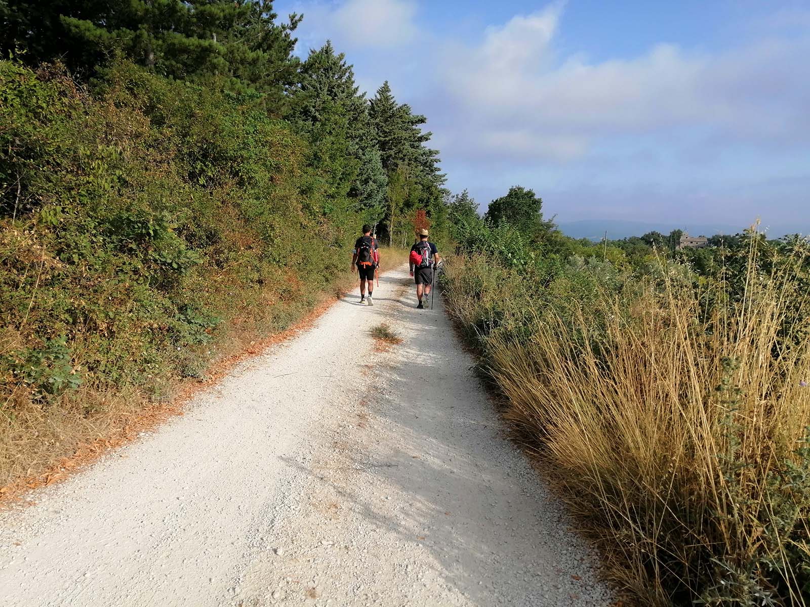 Paesaggi sul cammino dei borghi silenti in Umbria - blog di viaggi