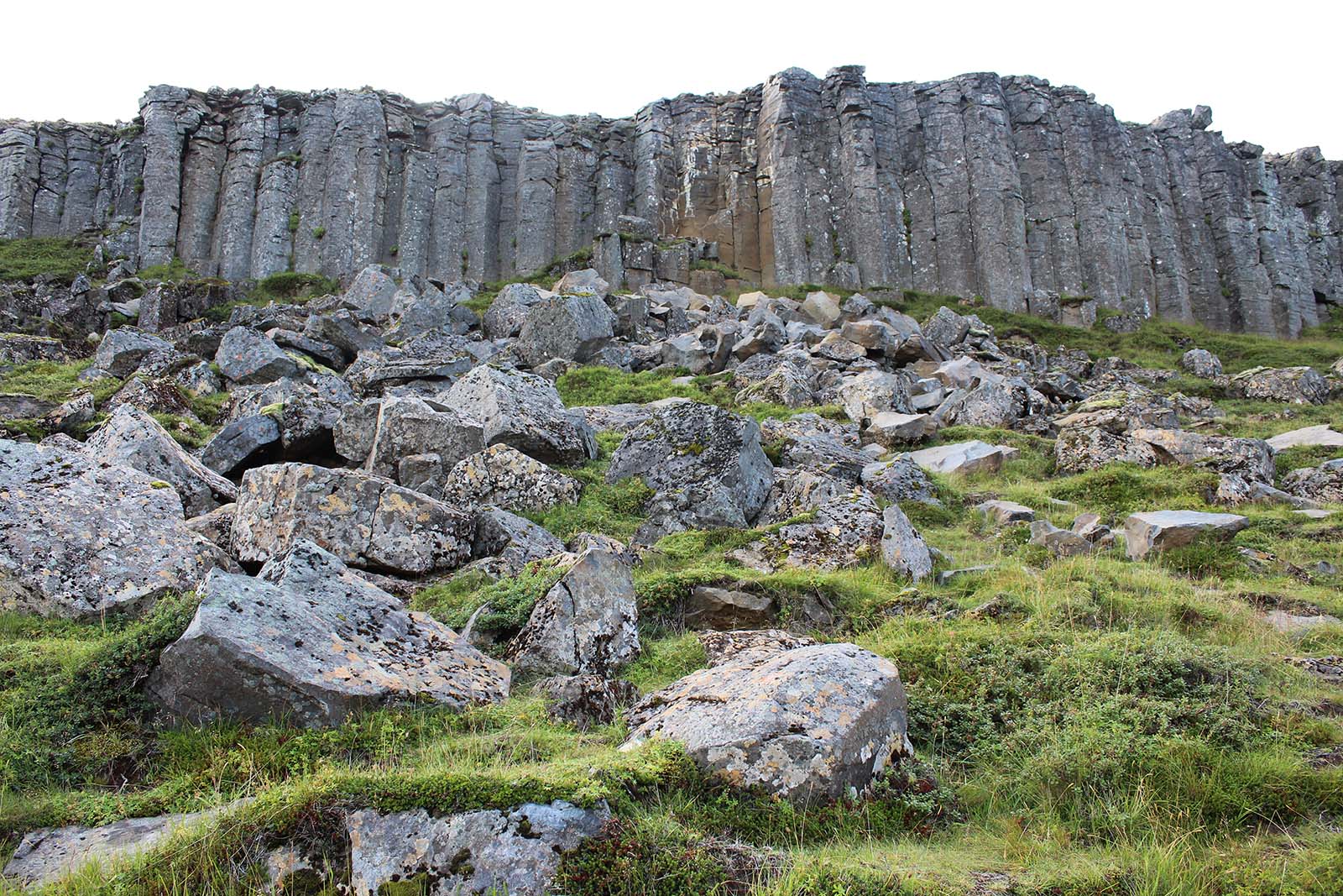 parete rocciosa formata da colonne di basalto: Gerðuberg cliffs - blog di viaggi