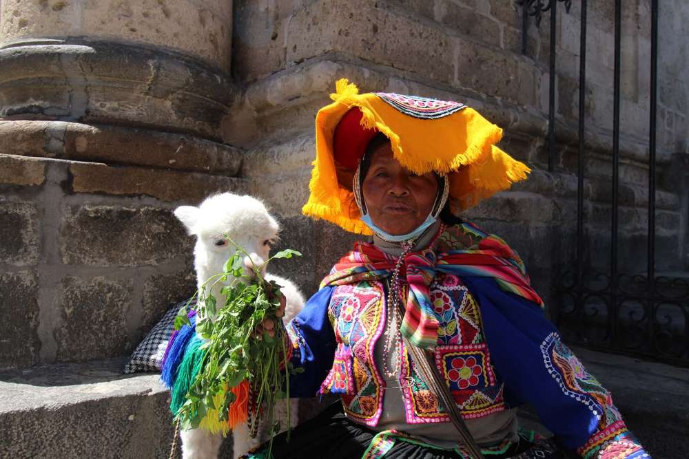 donna peruviana in compagnia del sul alpaca - blog di viaggi