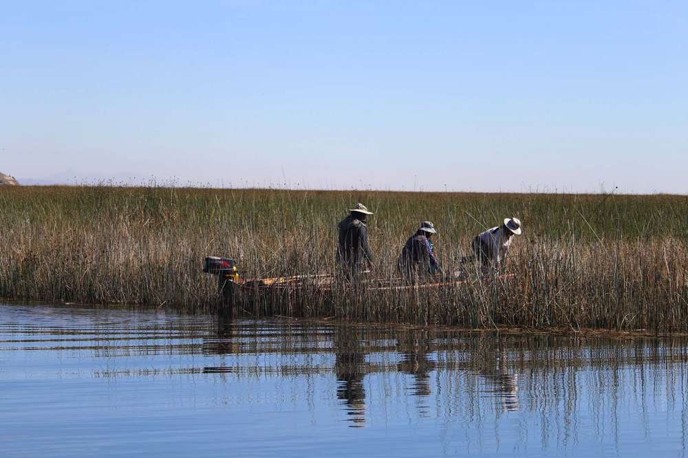 escursione sul Lago Titicaca dal porto di Puno - blog di viaggi