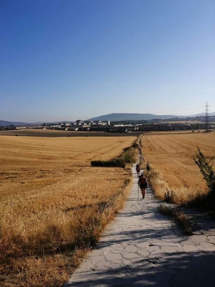 campi di grano sul cammino di santiago - blog di viaggi