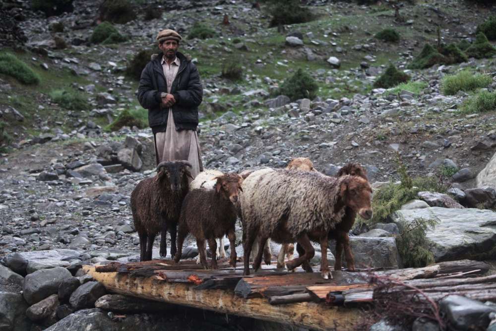 pastore pakistano nelle montagne del Gilgit Baltistan - blog di viaggi