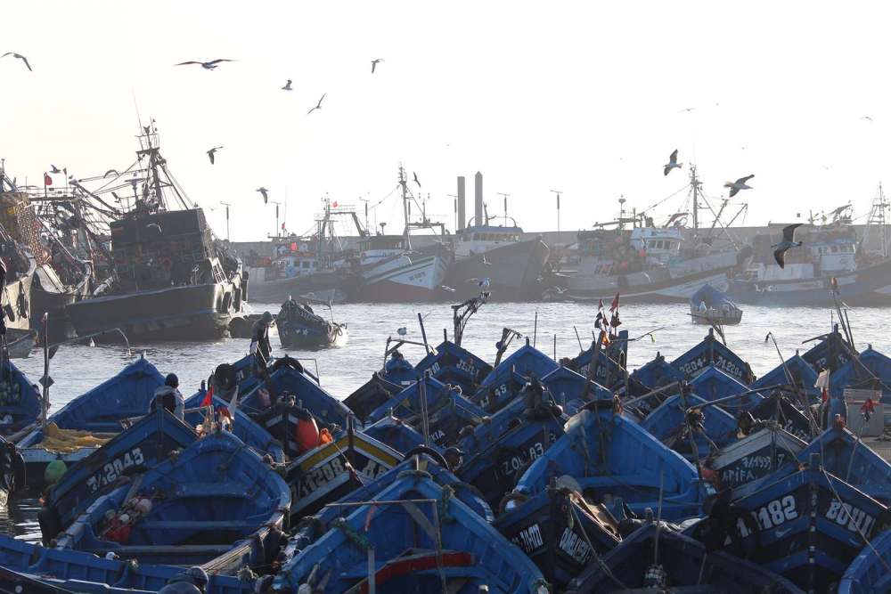 Scopri di più sull'articolo Essaouira: itinerario di viaggio in Marocco