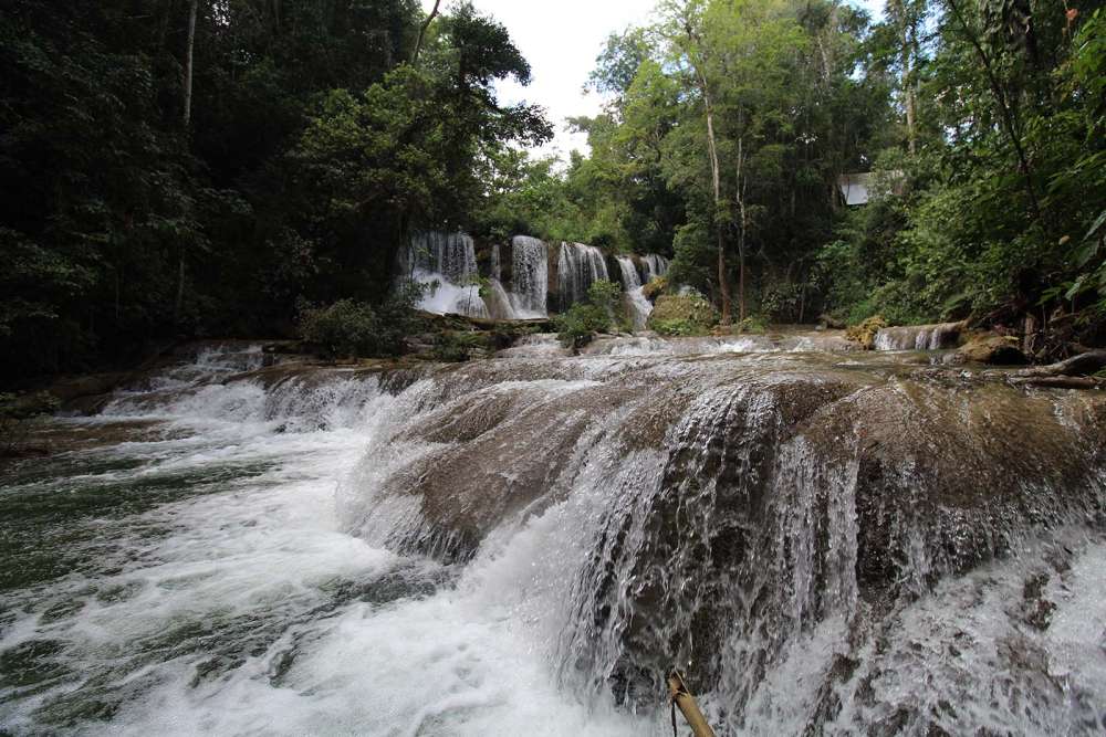 trekking nella selva messicana nel Chiapas - blog di viaggi