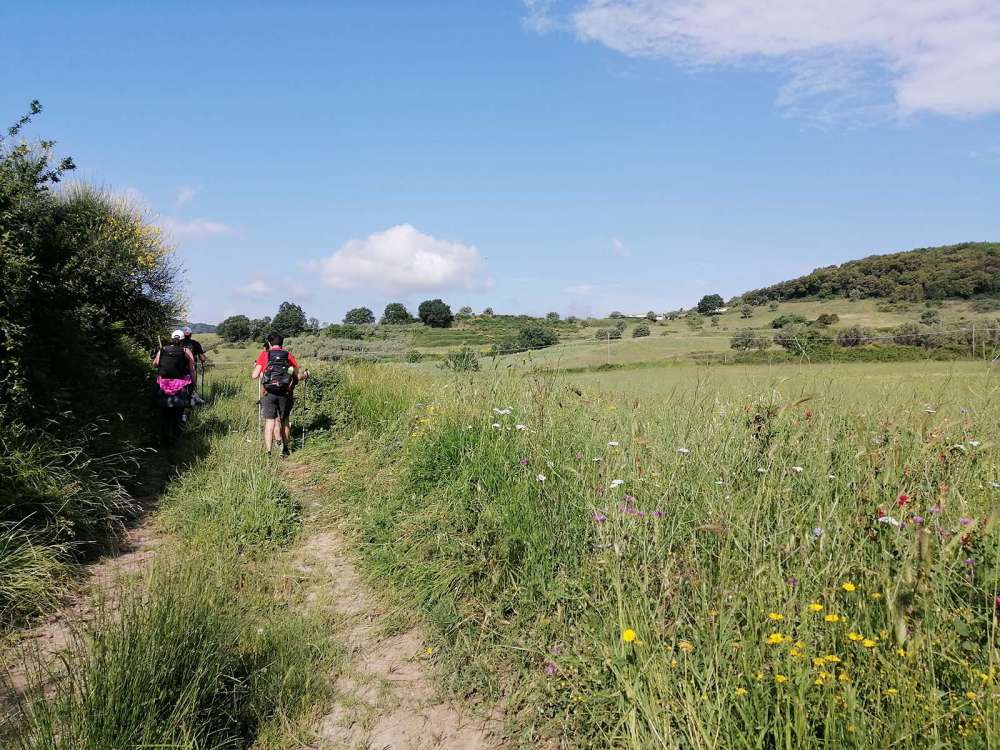 Scopri di più sull'articolo Trekking in Calabria: Cammino Coast to Coast