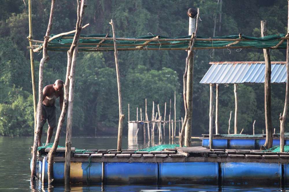 vita quotidiana in Sri Lanka - blog di viaggi