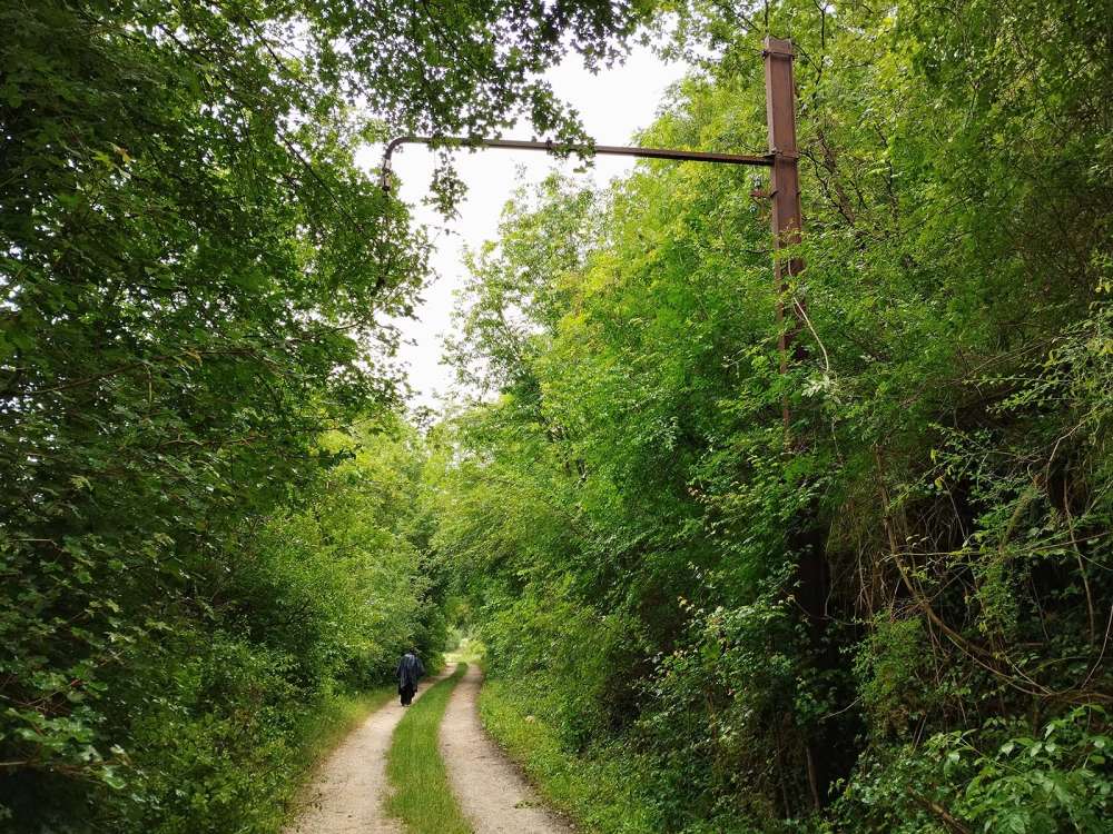 Scopri di più sull'articolo Trekking sull’ex ferrovia Spoleto-Norcia