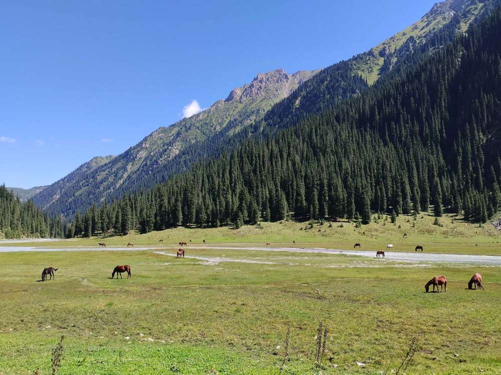Paesaggi di montagna nel Kirghizistan - blog di viaggi