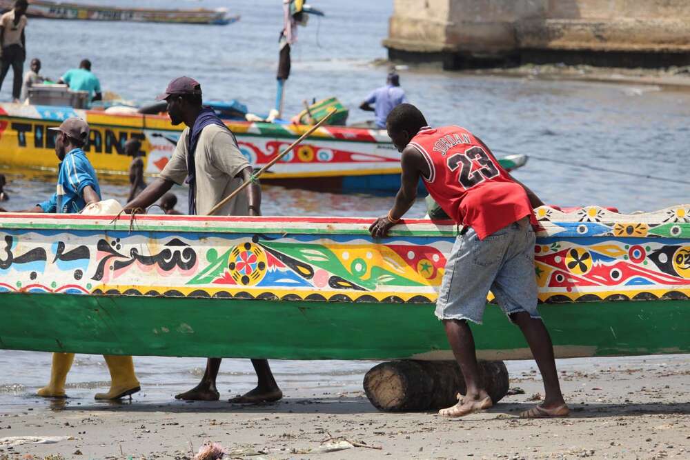Scopri di più sull'articolo Organizzare un viaggio in Senegal “fai da te”