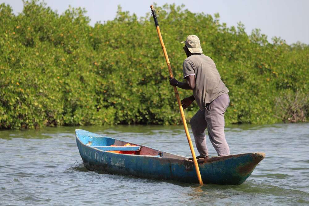 tour in piroga nelle mangrovie di Joal in Senegal - blog di viaggi
