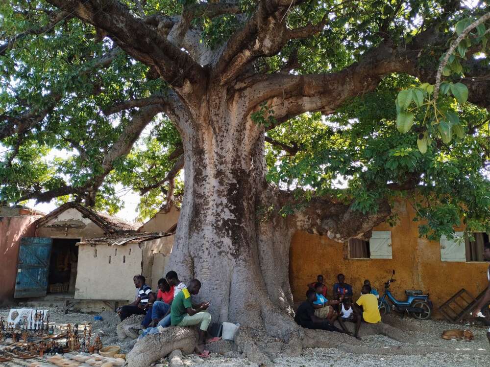 Scopri di più sull'articolo Joal-Fadiouth nel sud del Senegal