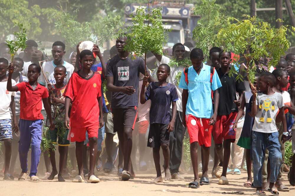 Vita locale in Senegal nel villaggio di Joal - blog di viaggi