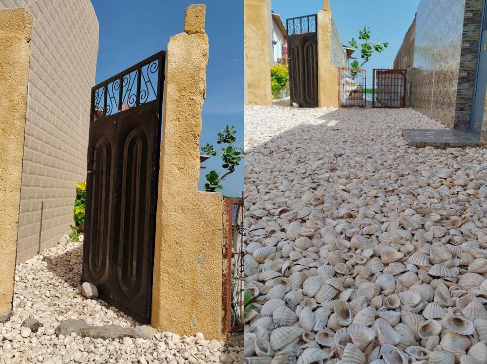 L'isola delle conchiglie di Joal-Fadiouth in Senegal - blog di viaggi