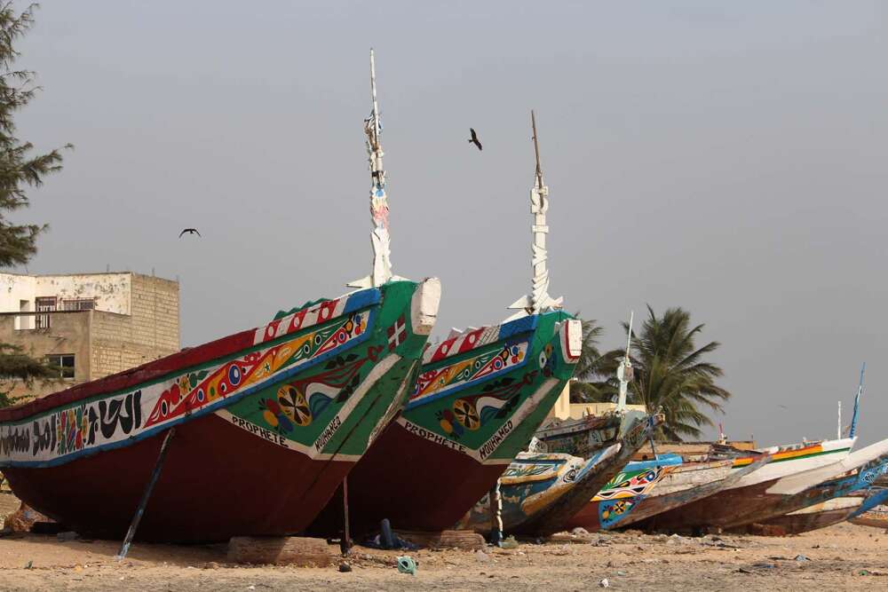 le piroghe senegalesi utilizzate per la pesca - blog di viaggi