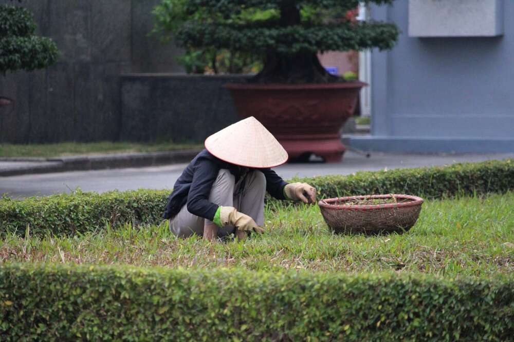 i giardinieri in Vietnam - blog di viaggi