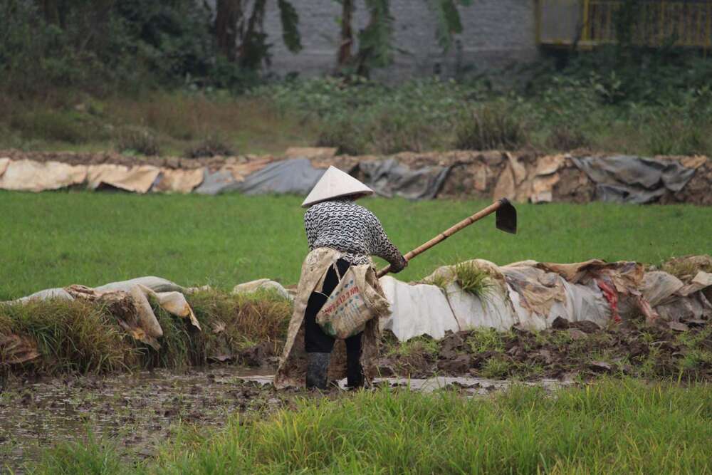 Cosa vedere a Ninh-Binh in tre giorni - blog di viaggi