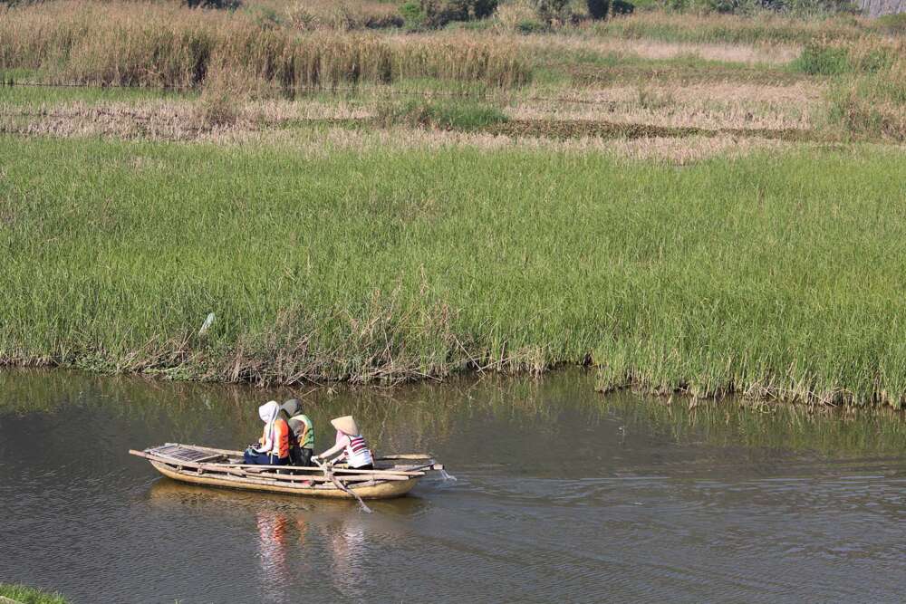 escursione sulle imbarcazioni nella riserva naturale di Van Long in Vietnam - blog di viaggi