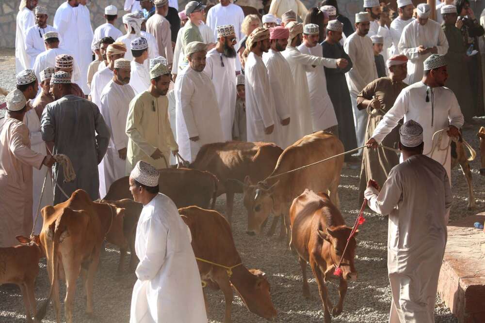 il tradizionale mercato degli animali del venerdi a Nizwa - blog di viaggi