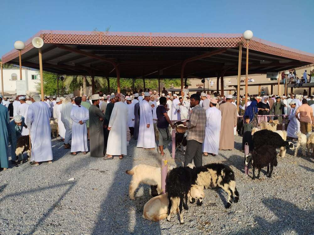 Lo spettacolare mercato degli animali di Nizwa con inizio alle 6.30 del mattino - blog di viaggi