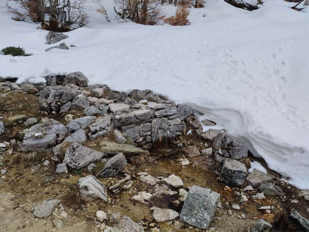 la fonte degli uccelli nei pressi del Lago Vivo vicino Barrea - blog di viaggi