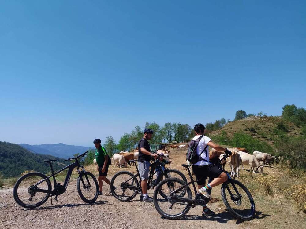 Organizzare escursioni nel Cilento in e-Bike - blog di viaggi