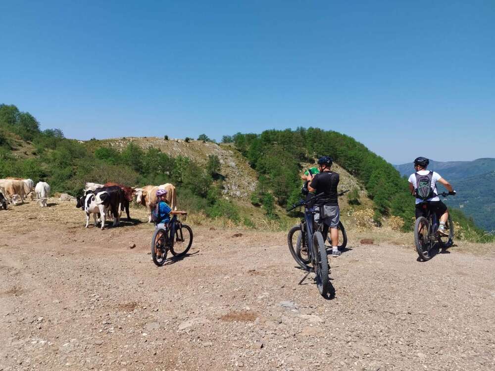 Escursione in e-bike nel Cilento con Cilento Slow Tour - blog di viaggi